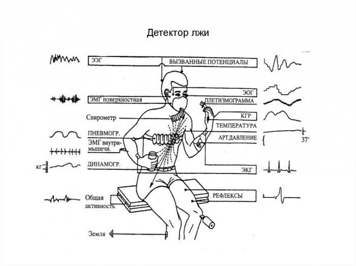 Принцип работы полиграфа